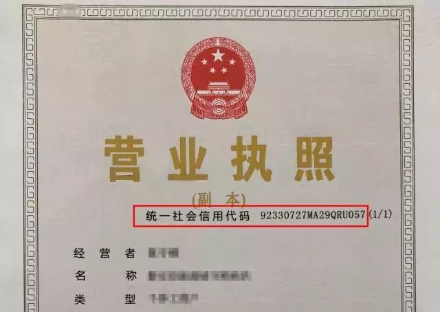 旧城乡人事新任命，重塑乡村面貌，驱动地方发展新篇章