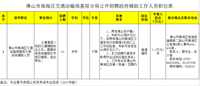 夜色中的猫