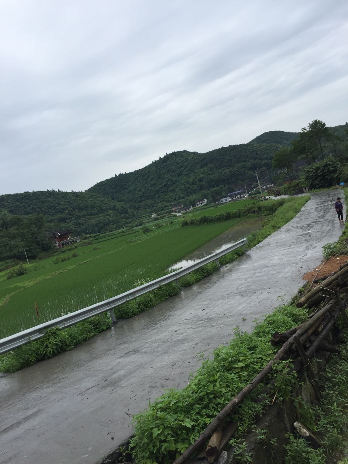 塘俄村天气预报更新通知