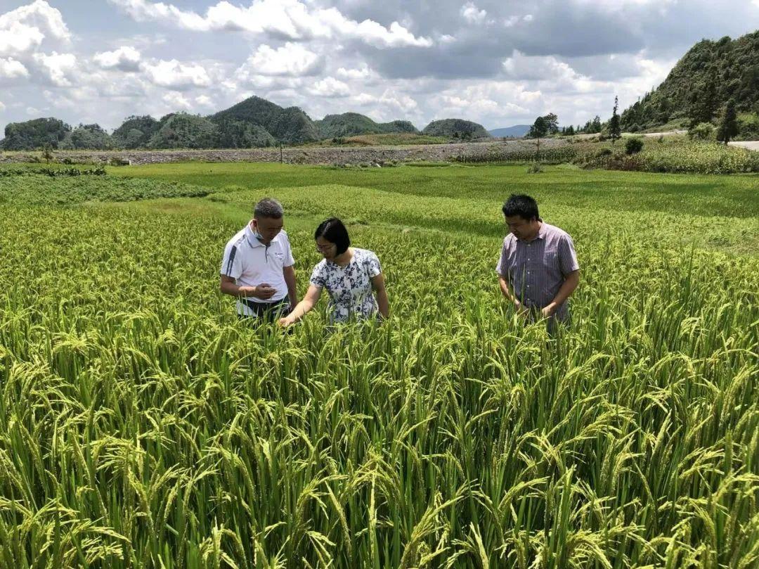 黔西南布依族苗族自治州气象局人事任命引领气象事业迈向新高度